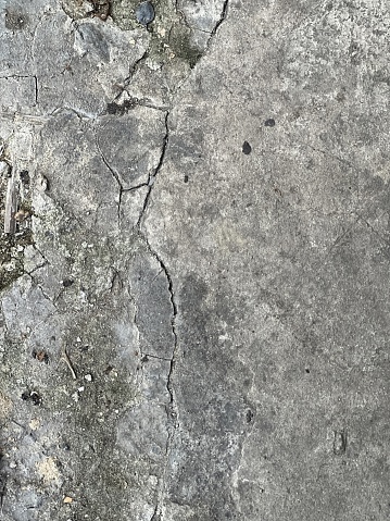 the texture of the concrete.