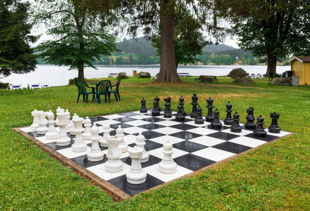 istock street chess on green grass 1836813558
