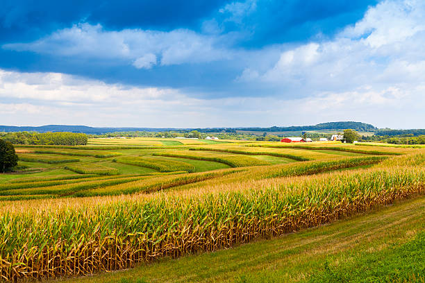 amerikanische landschaft corn field mit stürmischen himmel - iowa stock-fotos und bilder