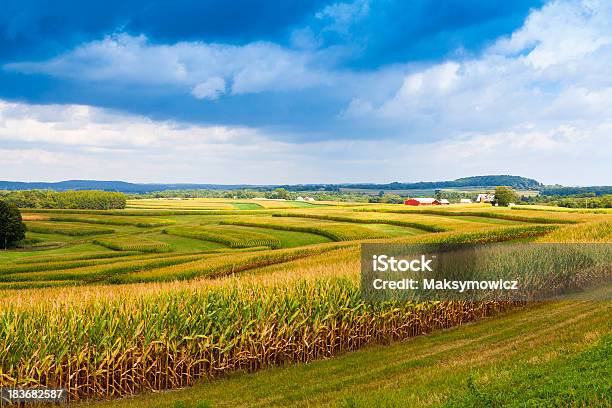 Amerikanische Landschaft Corn Field Mit Stürmischen Himmel Stockfoto und mehr Bilder von Iowa