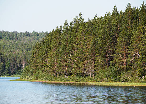 istock shore of Lake 183683305