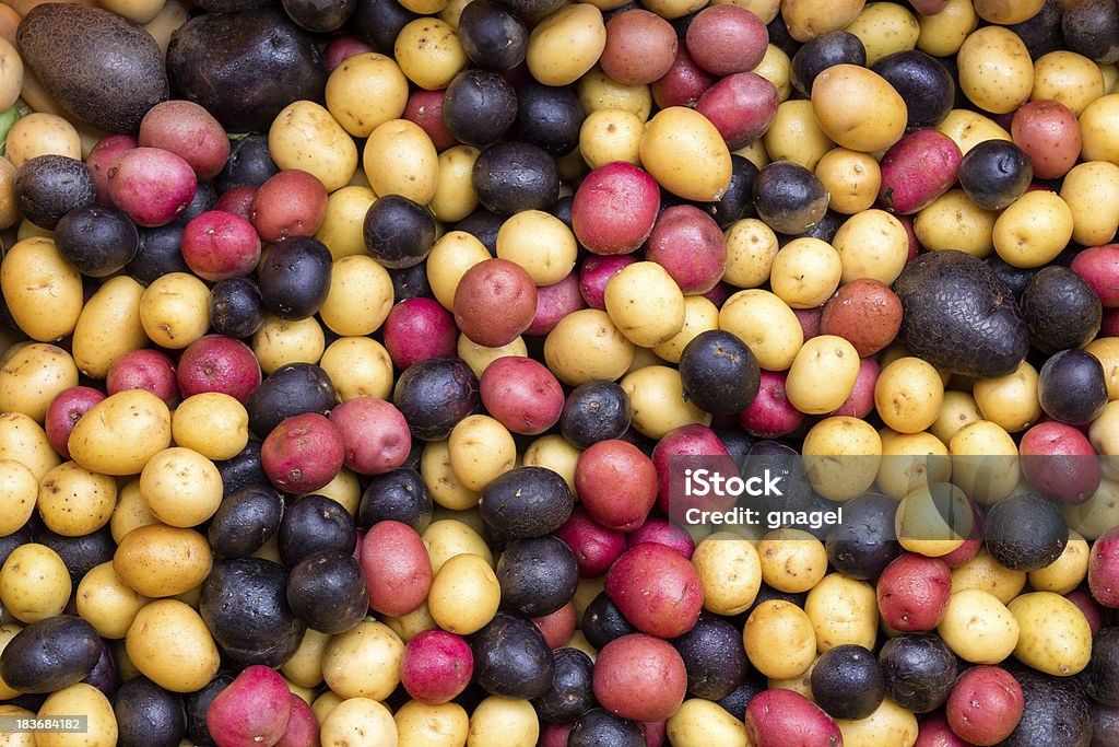 Pile di coloratissimi patate - Foto stock royalty-free di Alimento di base