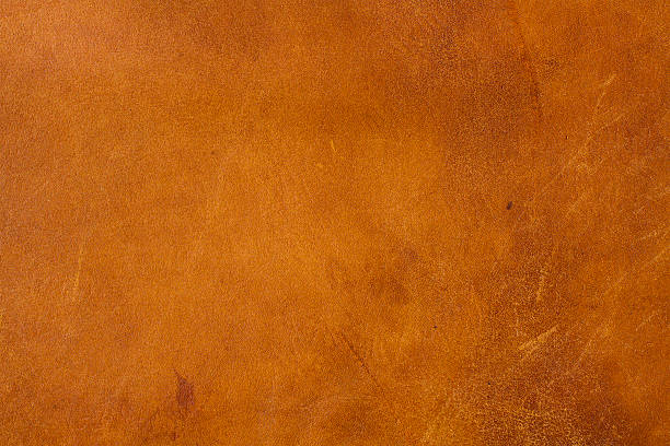 1,525 Tanned Animal Hide Stock Photos, Pictures & Royalty-Free Images -  iStock | Tanned hide