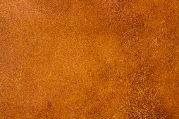 1,525 Tanned Animal Hide Stock Photos, Pictures & Royalty-Free Images - iStock | Tanned hide 1,525 Tanned Animal Hide Stock Photos, Pictures & Royalty-Free Images - iStock | Tanned hide