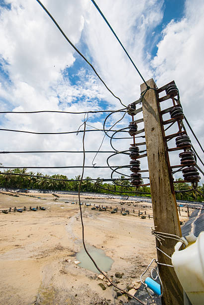istock Electric wooden post 183688243