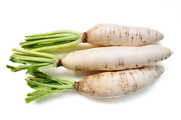 무 - radish dikon radish vegetable exoticism 뉴스 사진 이미�지