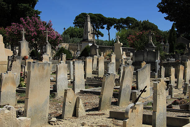 istock Old cemetery in the Provence 183695364