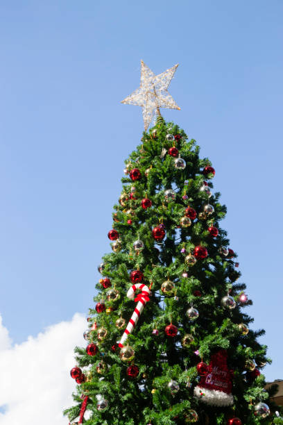 istock Christmas atmosphere day light outdoor decorations 1836957348