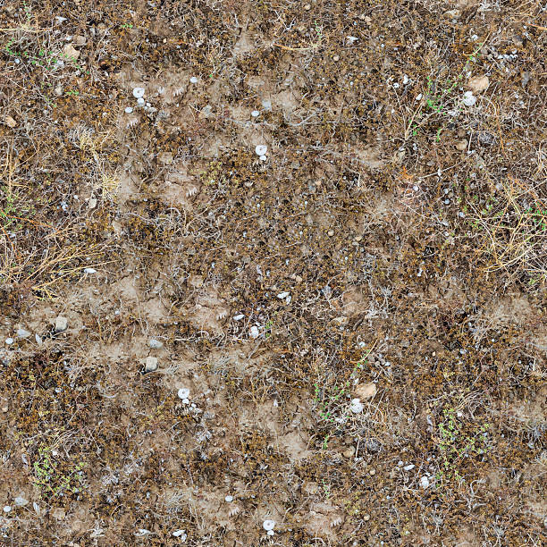 istock Seamless Texture of  Prairie Soils. 183696046
