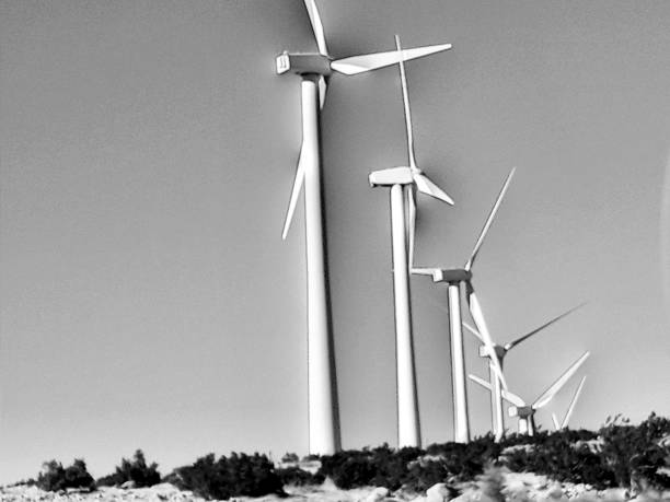 istock Windmill March.San Gorgonio Wind Farm. 1836971039