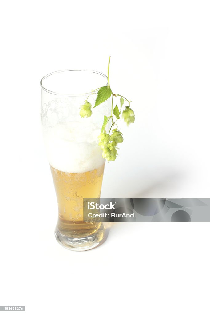 Birra e un hop - Foto stock royalty-free di Albero