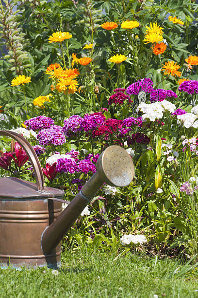 istock Watering can stands in front of a flowerbed 183700214