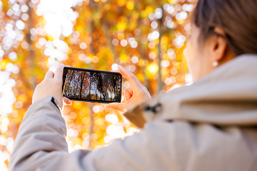 woman using mobile phone taking picture in autumn