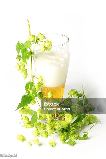 Beer And Hops Stock Photo - Download Image Now - Alcohol - Drink, Beer - Alcohol, Beer Glass