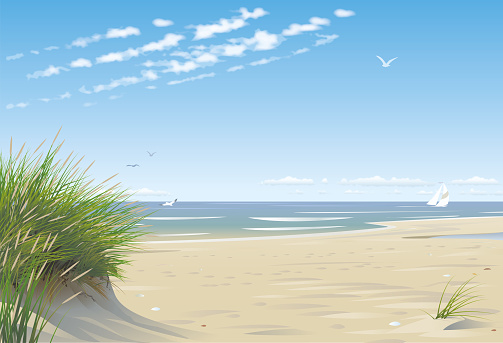 Vector illustration of a lonely sunny beach with a little sailboat and some seagulls in the distance. A dunes is in the front.