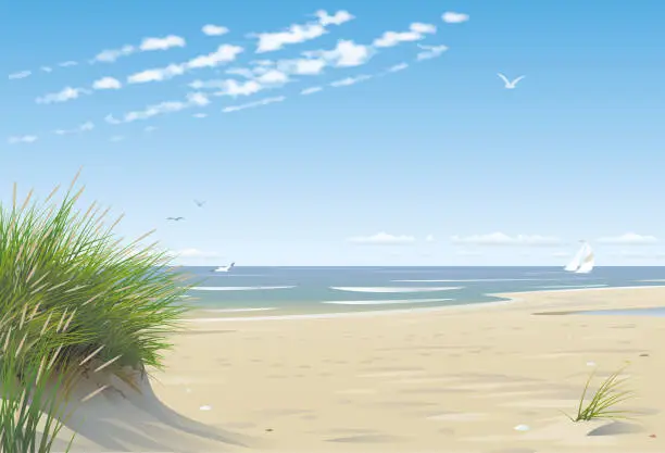 Vector illustration of Beach with Dunes