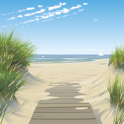 Vector illustration of a lonely sunny beach with a little sailboat and some seagulls in the distance. Dunes with a wooden footpath leading to the beach are in the front.