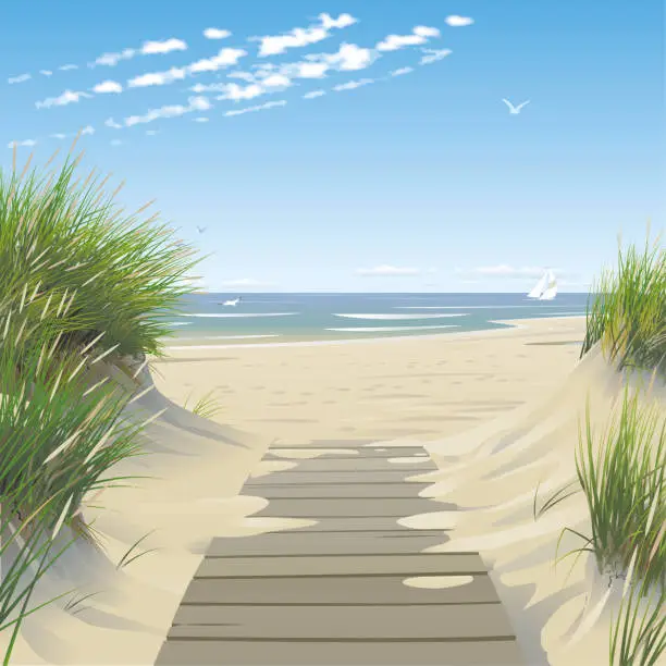 Vector illustration of Beach with dunes and wooden footpath