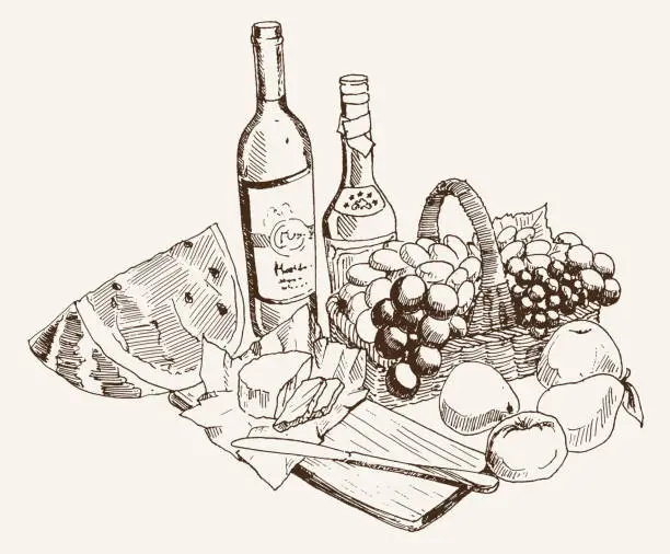 Vector illustration of wine and fruit