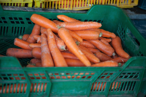 Freshly picked organic carrots sold at a farmer's market in green plastic crate