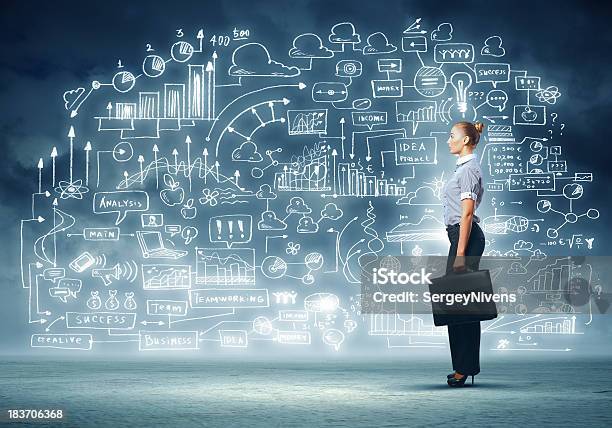 Business Woman And Project Stock Photo - Download Image Now - Adult, Business, Business Meeting