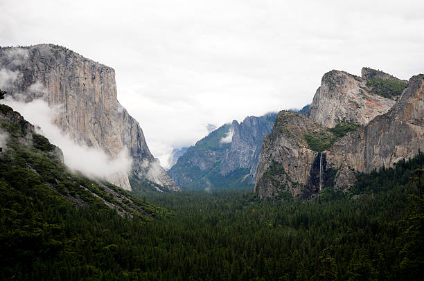 istock Yosemite Through the Fog 183708892