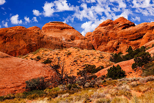 Rock Canyon Devils Garden Arches National Park Moab Utah USA Southwest.