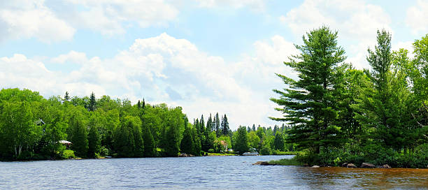 istock Panorama of a northern lake 183713634
