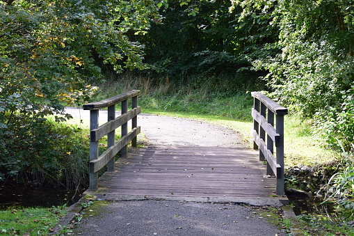 a flat bridge in a park