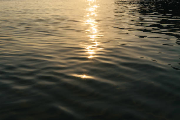 istock Liquid dark sea water surface rippled texture background with sunlight reflections 1837141599
