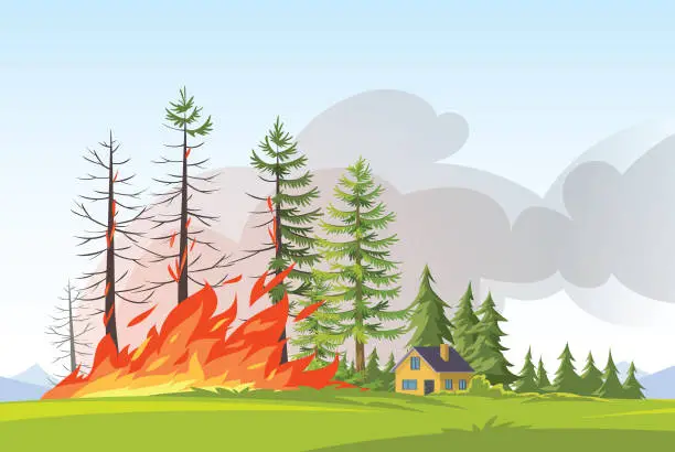 Vector illustration of Forest fire. Burning spruces and oak trees, wood plants in flame, natural disaster cartoon illustration.
