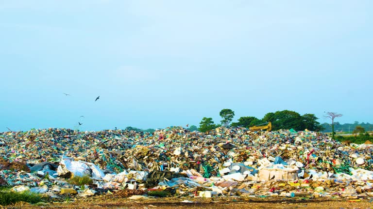 Birds Flying Around Pile Of Garbage At Waste Landfill. Environmental Pollution. wide