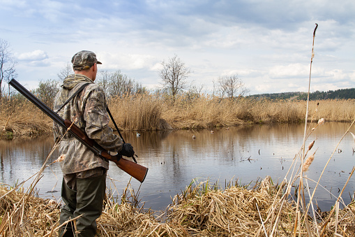 The hunter stands on the shore of a lake that is overgrown with withered reeds. He looks at the duck decoys. The hunter has a shotgun on his shoulder.