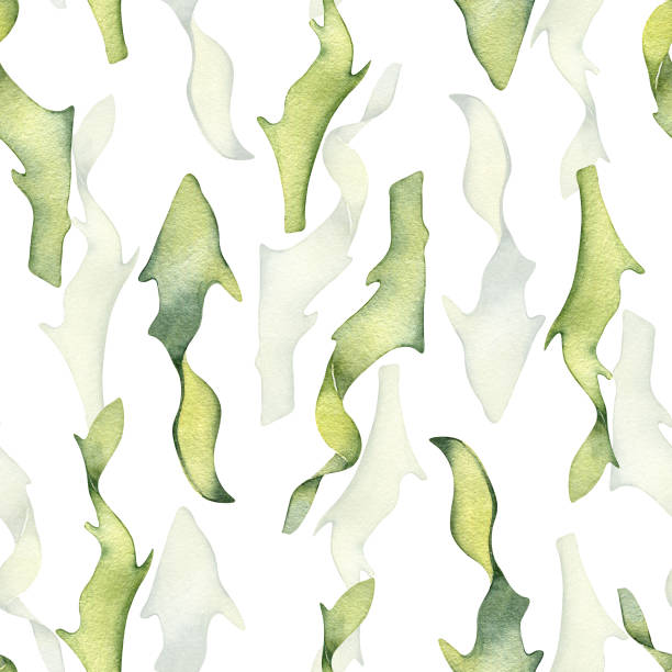 aquarell nahtloses muster der bunten laminaria-illustration isoliert auf weiß. seetang, handgezeichnete algen. gemalte algen. design für hintergrund, textil, verpackung, verpackung, marinekollektion - spirulina pacifica illustrations stock-grafiken, -clipart, -cartoons und -symbole