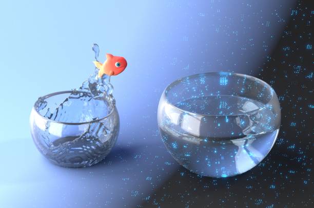 Adapting Digitalization and Artificial Intelligence, We can stay safe in the familiar pond of the analog world, or dive into the vast ocean of the digital world, carried by the current of AI. The choice is ours. fish in a bowl stock pictures, royalty-free photos & images