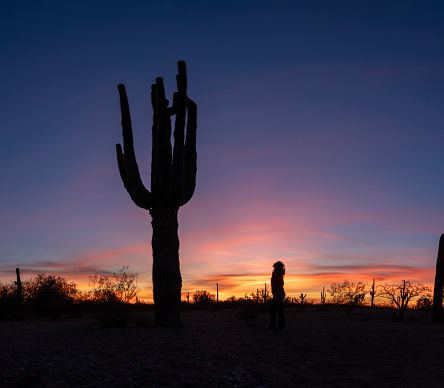 The silhouettes of a giant Saguaro Cactus and a female at a sunset in Arizona