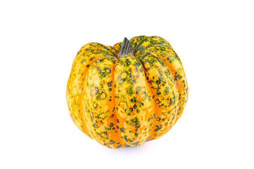 pumpkin on a white background