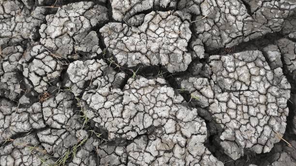 istock Cracked ground during hot climate after several months in village area 1837250049