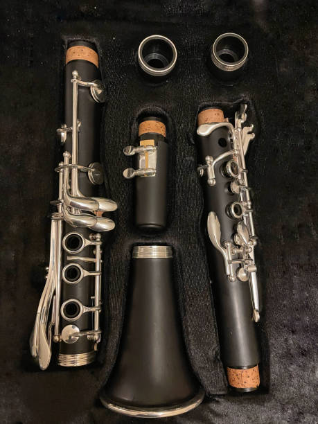 istock Close-up of a clarinet stored in its case 1837323896