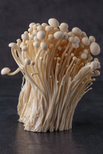 istock Fresh Enoki mushrooms on black background with selected focus.Enoki, also known as velvet shank, is a species of edible mushroom in the family Physalacriaceae. 1837333597