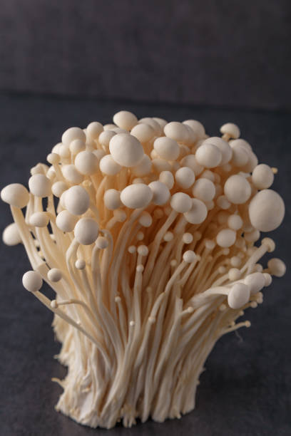 istock Fresh Enoki mushrooms on black background with selected focus.Enoki, also known as velvet shank, is a species of edible mushroom in the family Physalacriaceae. 1837333620