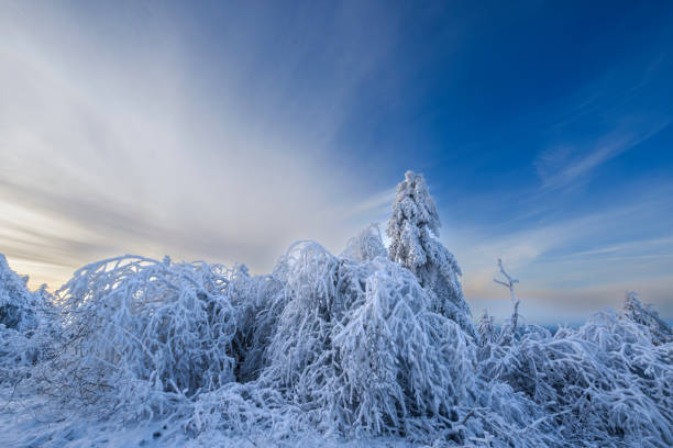 istock Winter in Taunus/Germany 1837395670