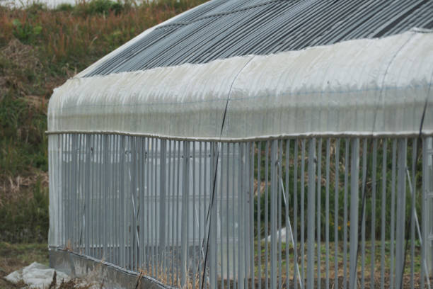 Scenery of a simple greenhouse