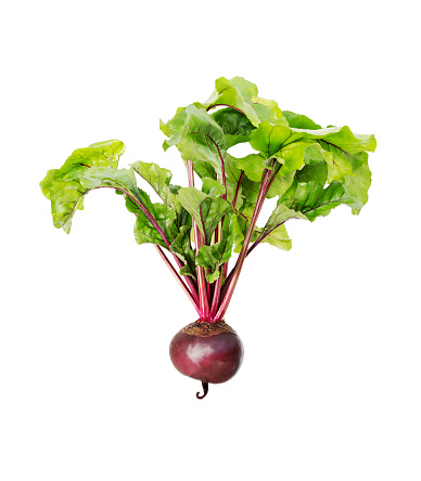 Beetroot with leaves, fresh whole beet isolated on white background. Raw red beetroot.