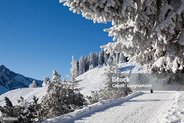 Bäume Im Schnee Bedeckt Stockfoto und mehr Bilder von Alpen - Alpen, Baum, Bildhintergrund