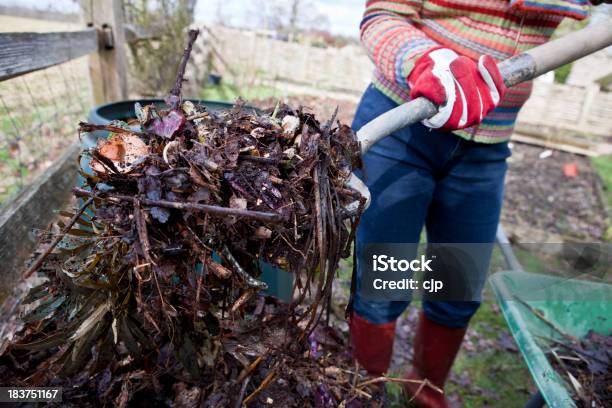 Compostaggio Dei Rifiuti Alimentari E Giardino - Fotografie stock e altre immagini di Composta - Fenomeno naturale - Composta - Fenomeno naturale, Donne, Adulto