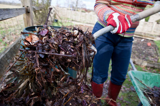 istock Composting Garden and Food Waste 183751167