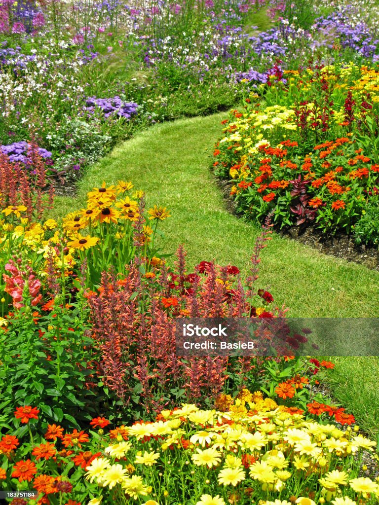 Flower garden im Sommer - Lizenzfrei Hausgarten Stock-Foto