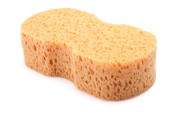 istock A beige sponge with holes in on a white background 183751193