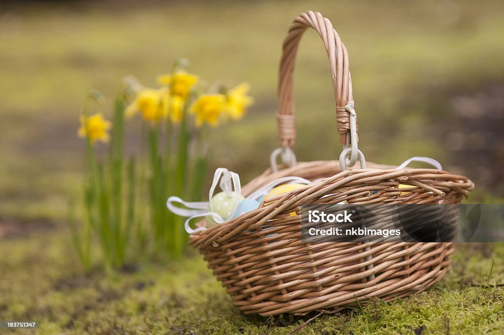 Ovo de Páscoa de fora, com cesta de flores em fundo de abróteas - Foto de stock de Beleza natural - Natureza royalty-free